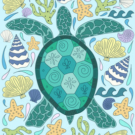 Reef Turtle