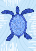 Ocean Turtle