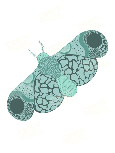 Moth