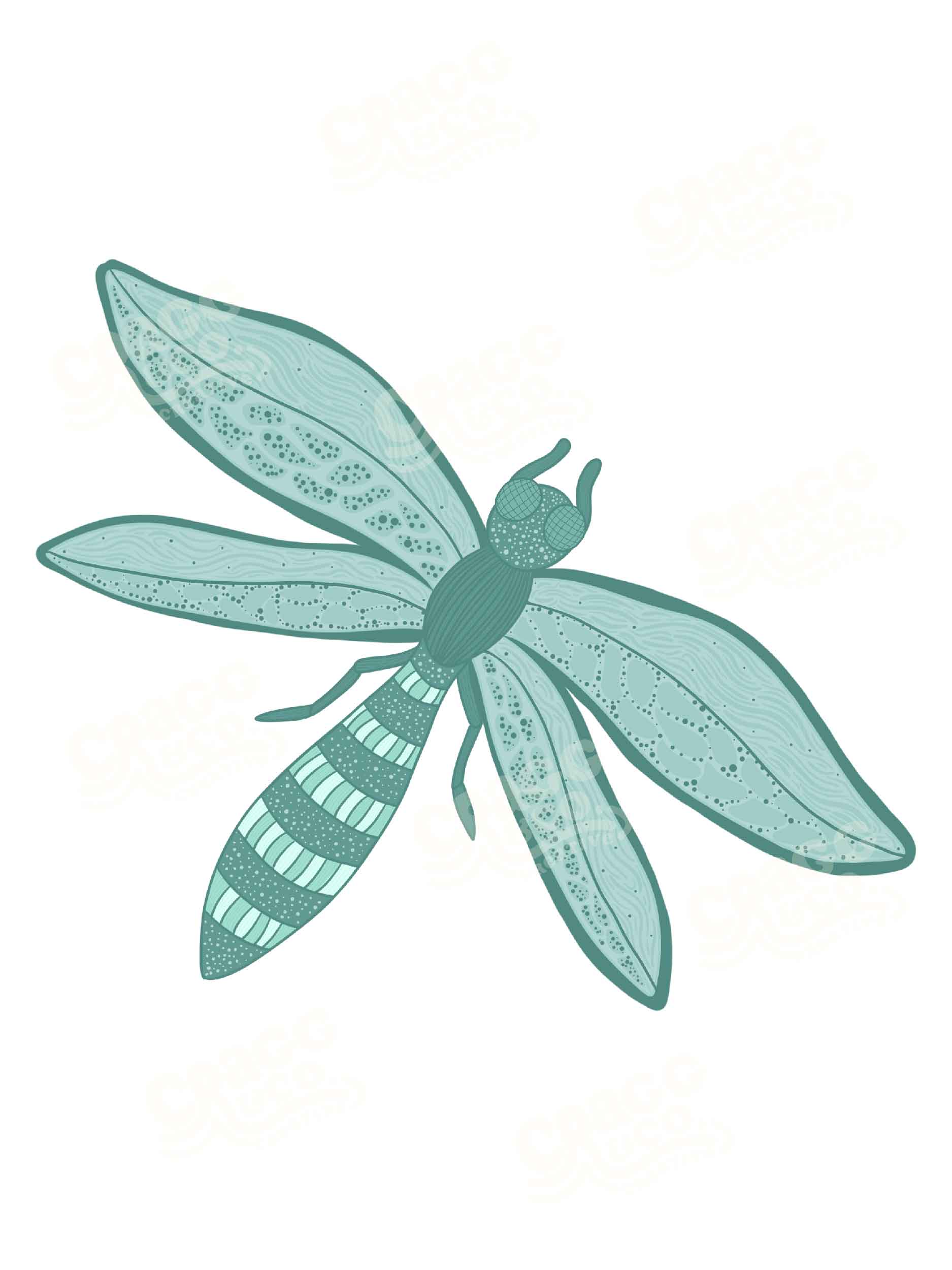 Bugs Collection