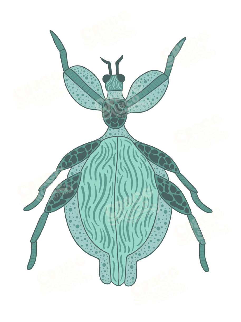 Bugs Collection