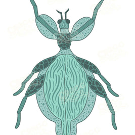 Bugs Collection
